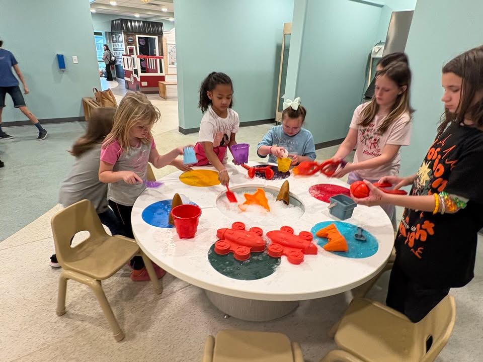 Playmates Preschools & Child Development Centers