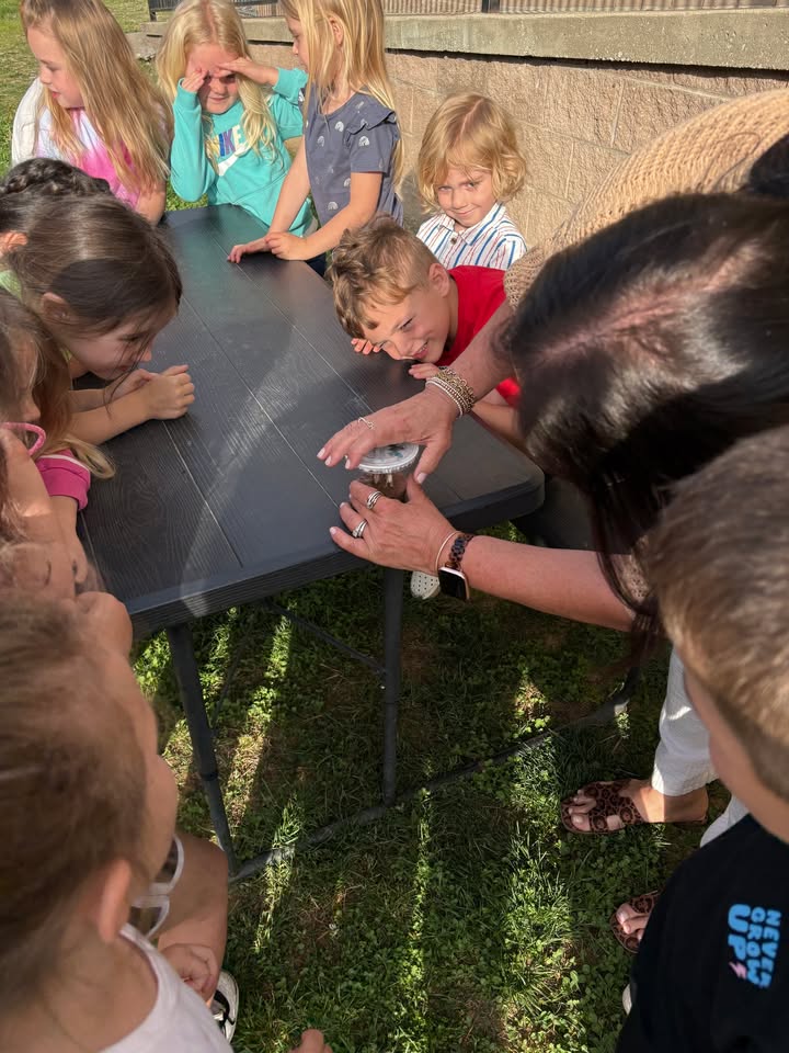 Playmates Preschools & Child Development Centers