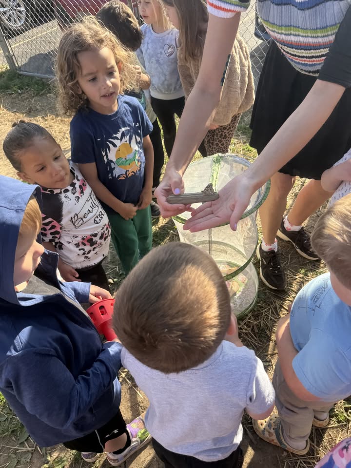 Playmates Preschools & Child Development Centers