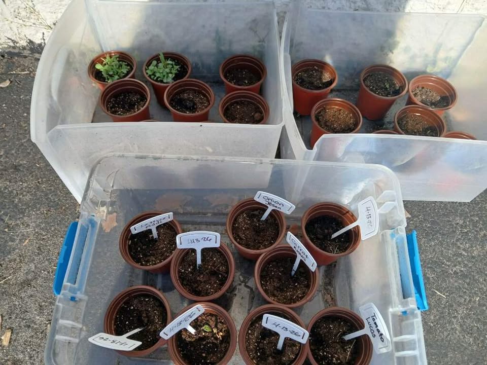 Playmates Preschools & Child Development Centers