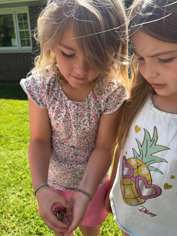 Playmates Preschools & Child Development Centers
