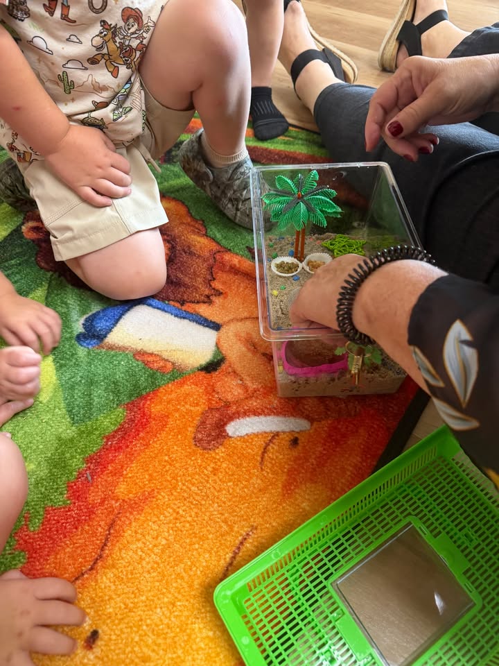 Playmates Preschools & Child Development Centers