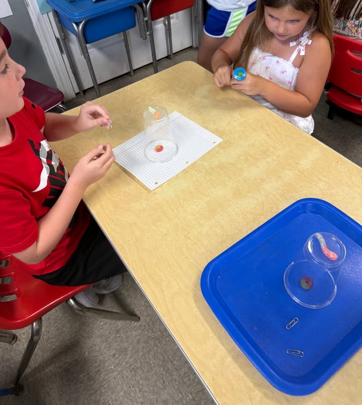 Playmates Preschools & Child Development Centers