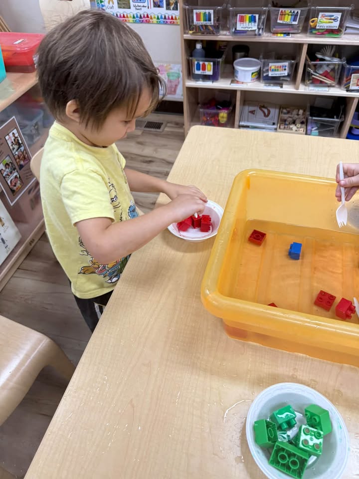 Playmates Preschools & Child Development Centers
