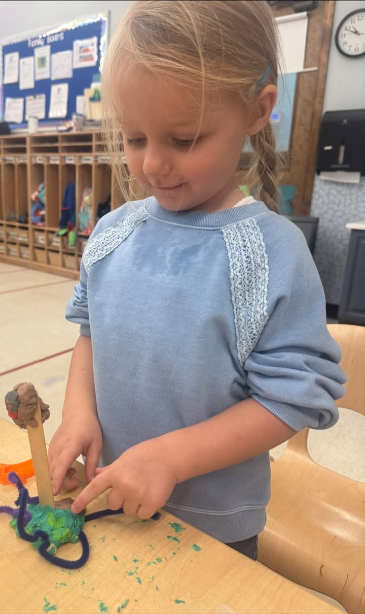 Playmates Preschools & Child Development Centers